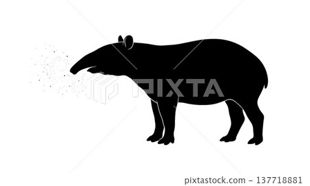 貘的輪廓和閃亮的氣息 137718881