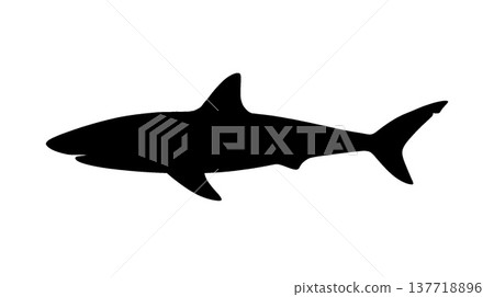 Shark's Silhouette 137718896