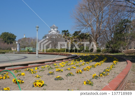 Toyo Park and Nagahama Castle 137718989