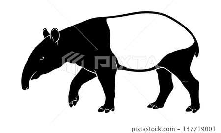 馬來貘剪影圖 137719001