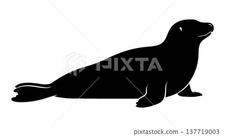 Seal silhouette illustration 137719003