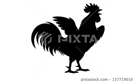 Silhouette of a rooster crowing Silhouette of a rooster crowing 137719010