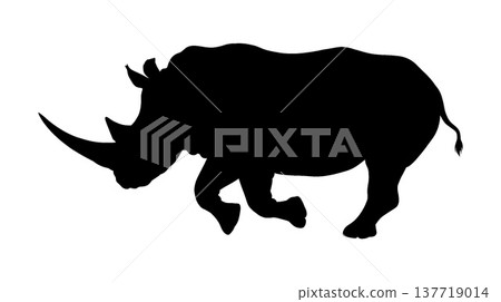 Sai's silhouette 137719014