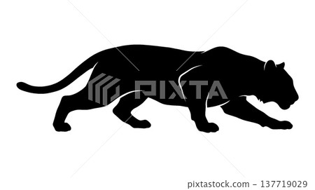 Silhouette of a walking black panther Silhouette of a walking black panther 137719029