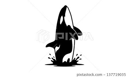 虎鯨躍出水面，濺起水花的剪影 137719035