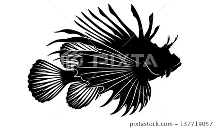 Lionfish silhouette illustration Lionfish silhouette illustration 137719057