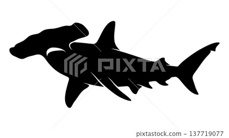 silhouette of a hammerhead shark 137719077