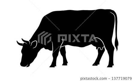Silhouette of a cow eating grass Silhouette of a cow eating grass 137719079