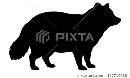 Fox silhouette Fox silhouette 137719086