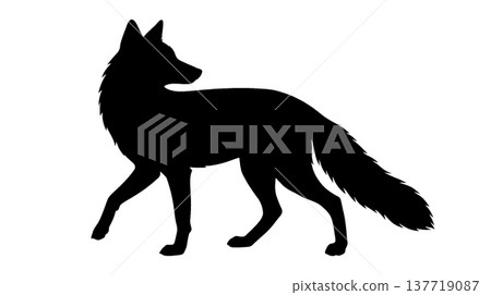 Fox silhouette Fox silhouette 137719087