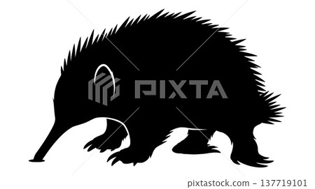 Silhouette of an echidna 137719101