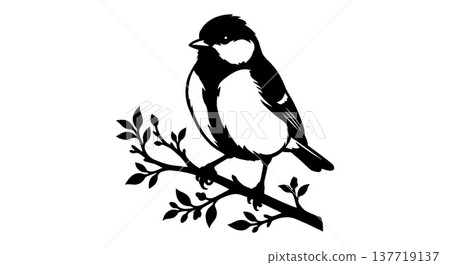 Silhouette of a bird perched on a branch 137719137