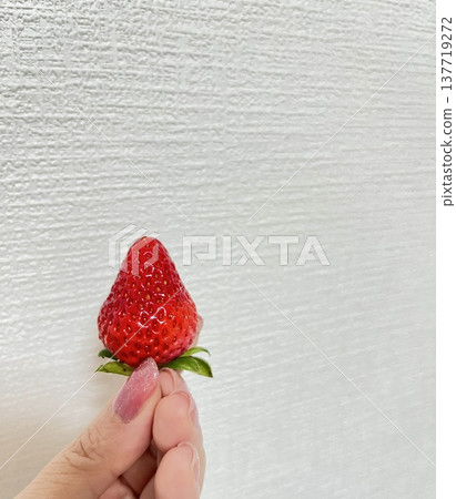 一顆鮮紅的草莓 一顆鮮紅的草莓 137719272