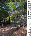 Mountain road 137719327
