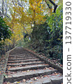  Stone steps 137719330