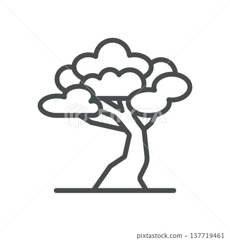 Korean Pine Icon, Emblem of Native Evergreen Tree and Symbol of Korean Nature, Simple Thin Linear Outline Vector Sign. Korean Pine Icon, Emblem of Native Evergreen Tree and Symbol of Korean Nature, Simple Thin Linear Outline Vector Sign. 137719461