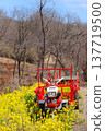 A rural landscape featuring rapeseed flowers and a red tiller sculpture. 137719500