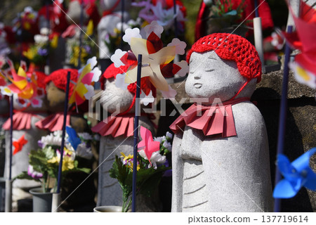 Chikako Nurture Chikako Nurture 137719614