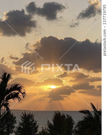 Angel's Ladder appears in the spring sky of Okinawa, with rays of light and the silhouettes of palm trees. 137719795