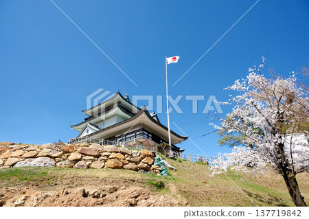 Komaki City, Aichi Prefecture - Cherry blossoms at Komakiyama Castle Ruins, Part 9, April 2025 Komaki City, Aichi Prefecture - Cherry blossoms at Komakiyama Castle Ruins, Part 9, April 2025 137719842