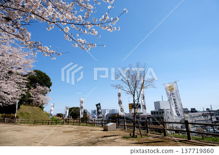 愛知縣小牧市小牧山城遺址的櫻花（26） - 2025年4月 137719860