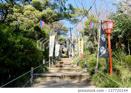 愛知縣小牧市小牧山城遺址，2025年4月 137720144