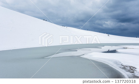 鳥取沙丘的雪景 鳥取沙丘的雪景 137720318