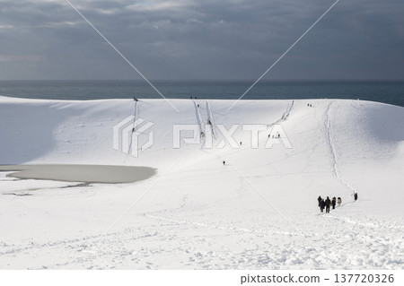 鳥取沙丘的雪景 鳥取沙丘的雪景 137720326
