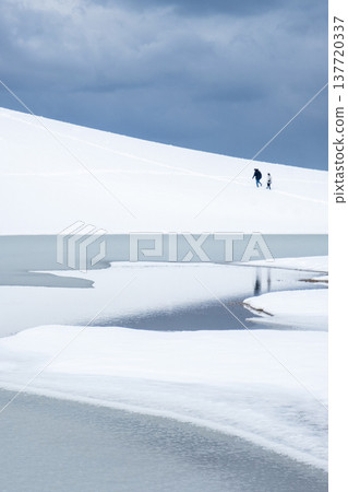鳥取沙丘的雪景 137720337