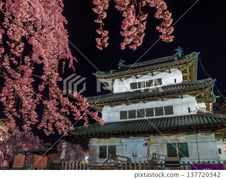 The castle keep, illuminated and floating in the night sky, is seen through the branches of a fully bloomed weeping cherry tree (Hirosaki, Aomori Prefecture). The castle keep, illuminated and floating in the night sky, is seen through the branches of a fully bloomed weeping cherry tree (Hirosaki, Aomori Prefecture). 137720342