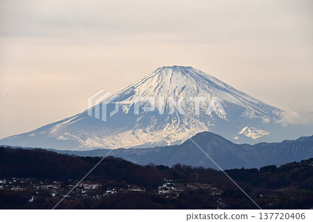 Mount Fuji, Kanagawa Prefecture, Azumayama Park Mount Fuji, Kanagawa Prefecture, Azumayama Park 137720406