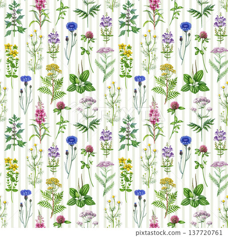 Medicinal herbs and wildflowers seamless pattern. Hand drawn blooming chamomile, yarrow, tansy, plantain, motherwort, valerian wild healing plants watercolor illustration on striped background. Medicinal herbs and wildflowers seamless pattern. Hand drawn blooming chamomile, yarrow, tansy, plantain, motherwort, valerian wild healing plants watercolor illustration on striped background. 137720761