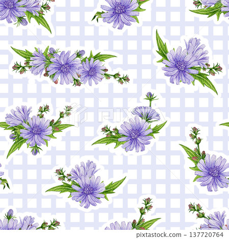 Blooming chicory flowers seamless pattern decoration element watercolor illustration. Hand drawn chicory meadow wildflower summer mood rustic design decor on checkered background 137720764
