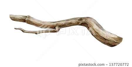 Tree dry branch watercolor illustration. Hand drawn botanical tree stick element. Dry twig natural decoration. Big tree beautiful curved branch element isolated on white background Tree dry branch watercolor illustration. Hand drawn botanical tree stick element. Dry twig natural decoration. Big tree beautiful curved branch element isolated on white background 137720772