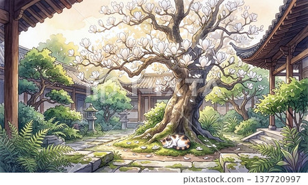 Game background: Courtyard of an old temple where a calico cat sleeps. Game background: Courtyard of an old temple where a calico cat sleeps. 137720997
