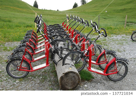 Bicycle in a parking Bicycle in a parking 137721034
