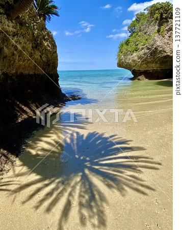 A secluded beach on Ishigaki Island with a hidden, untouched atmosphere, and the shadows of cycads falling on the rocky shore. A secluded beach on Ishigaki Island with a hidden, untouched atmosphere, and the shadows of cycads falling on the rocky shore. 137721109