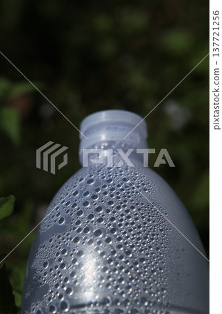 Empty Color Glass Bottle on the table Empty Color Glass Bottle on the table 137721256