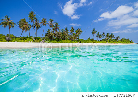 Breathtaking exotic tropical beach with turquoise ocean, radiant sunlight over calm waves, lush palm trees swaying, idyllic island paradise, perfect summer vacation escape 137721667