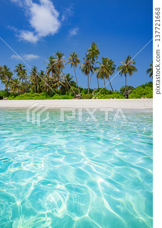 Vibrant tropical panorama of idyllic beach paradise, turquoise ocean horizon, radiant sunlight over pristine sand, calm waves, serene palm trees, perfect summer travel escape 137721668
