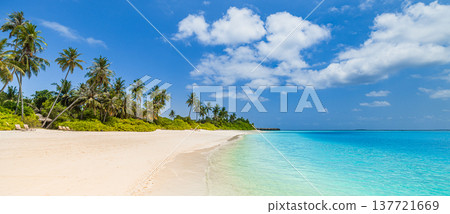 Radiant tropical beach panorama with pristine white sand, turquoise ocean waves, serene lush palm trees, idyllic sunny sky, breathtaking summer vacation landscape, relaxing exotic paradise 137721669