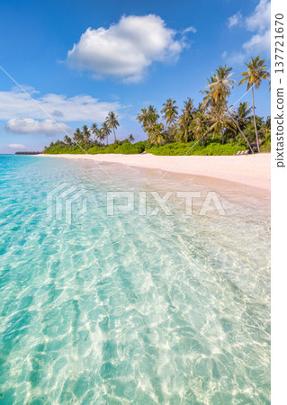 Breathtaking tropical beach panorama with pristine white sand, radiant turquoise ocean horizon, glowing golden sunlight, serene palm trees, tranquil paradise coastline, idyllic summer vacation travel  137721670