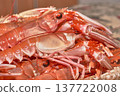 Detail of fresh langoustines with their claws and antennae, prepared for a high-quality seafood recipe 137722008