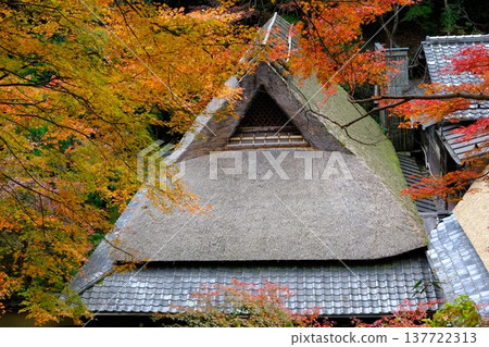 An old thatched roof house in Okusagano with autumn leaves 137722313