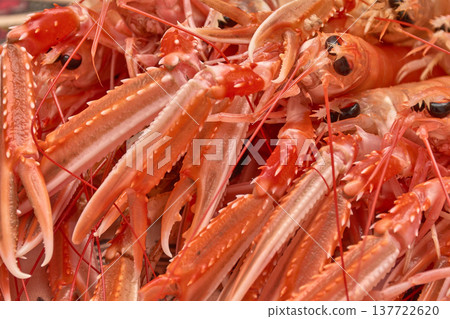 Macro close-up of raw seafood claws highlighting the texture and natural color of the fresh product Macro close-up of raw seafood claws highlighting the texture and natural color of the fresh product 137722620