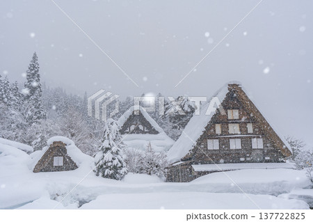 Shirakawago冬季場景 Shirakawago冬季場景 137722825