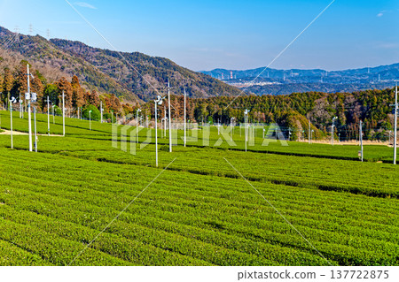 宇治田原茶園 宇治田原茶園 137722875