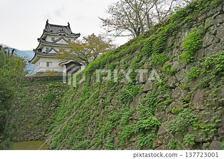 宇和島城現存天守閣外觀優美,擁有高聳的石牆和鬱鬱蔥蔥的綠植。 宇和島城現存天守閣外觀優美,擁有高聳的石牆和鬱鬱蔥蔥的綠植。 137723001