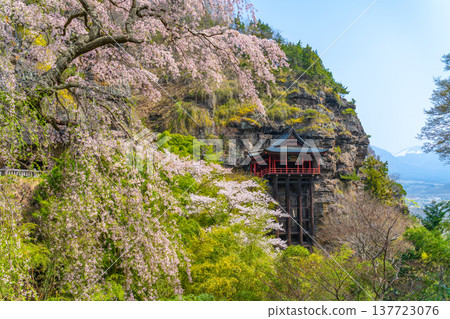 長野縣小諸市布引觀音寺的櫻花 137723076