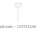 Continuous One Line Drawing of Poppy Flower eps10 137723144